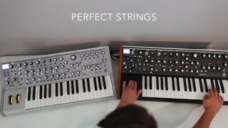 Moog Subsequent 37 vs Sub 37 Comparison Part I [upl. by Obala985]