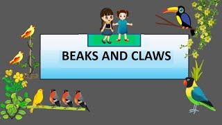 CBSE Class 4 Science Beaks and Claws of Birds [upl. by Azyl120]