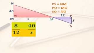 Triangulos semejantes y proporcionalidad [upl. by Nanor]