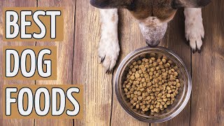 ⭐️ Best Dog Food TOP 10 Dog Foods 2019 REVIEWS ⭐️ [upl. by Aneladdam]