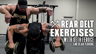 Rear Delt Exercises with Seth Feroce [upl. by Dixil]