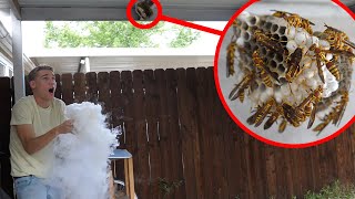 Dry Ice vs Wasp Nest  gone horribly wrong [upl. by Elyssa]