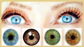 The SECRET to making your EYE COLOR POP [upl. by Ynnel]