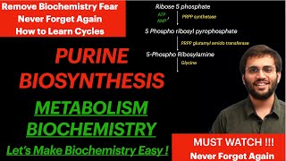 Purine Synthesis  Biochemistry  Purine Metabolism Video [upl. by Mort538]