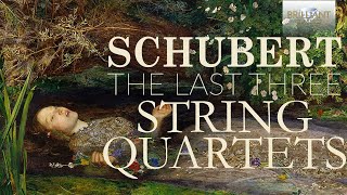 Schubert The Last Three String Quartets [upl. by Baudin153]