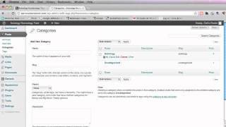 How to Create subsub Categories in WordPress [upl. by Anitsua]