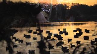 MA Outdoors Reelfoot Duck Hunt [upl. by Nilde]