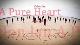 Calon Lan by The Phoenix Welsh Male Voice Choir [upl. by Haelak730]