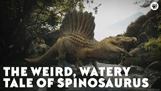 The Weird Watery Tale of Spinosaurus [upl. by Glenn883]