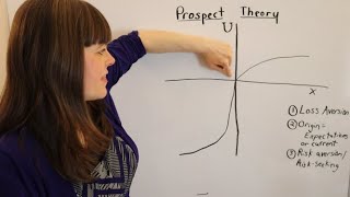 Prospect Theory An Overview [upl. by Marcile332]