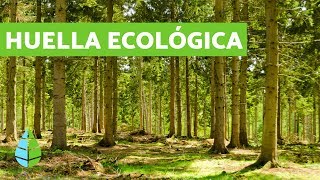 ¿Qué es la HUELLA ECOLÓGICA 👣 CALCULAR huella ecológica [upl. by Ztirf]