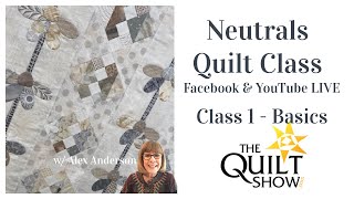 Alex Anderson LIVE  Neutral Quilts Class 1  Basics [upl. by Baird]