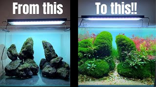 TAKE YOUR AQUASCAPE TO THE NEXT LEVEL WITH THIS MOSS METHOD [upl. by Tavi]