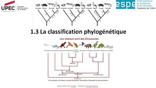 M2 module 1 3 Classification phylogénétique [upl. by Ttiwed]