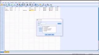 Entering Likert Scale Data into SPSS [upl. by Ailekahs]