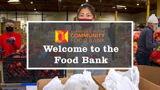 Welcome to the Food Bank [upl. by Yvan]