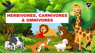 Herbivores  Carnivores  Omnivores  Types of Animals [upl. by Malony234]