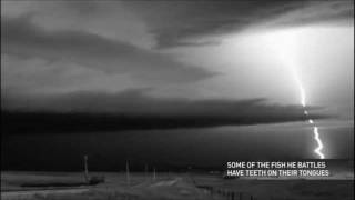 Incredible Slow Motion Lightning Strike 1 sec  3 min [upl. by Cressi]