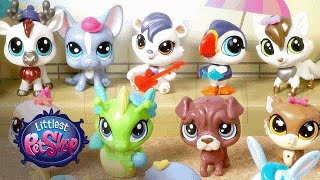 Littlest Pet Shop Toys  ‘Pets in the City Collection’ February 2016 Social Flipbook [upl. by Kolva]