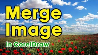 How to merge an image in coreldraw [upl. by Grimaud]