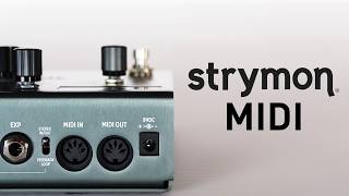 MIDI Control for Strymon Pedals [upl. by Magbie]