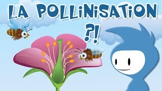 La pollinisation explication 12 [upl. by Alyl469]