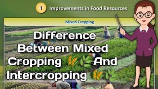 Mixed Cropping 🌾🌿And Intercrpping 🌾 Difference Between Mixed Cropping And Intercropping🔥⚡NCERT BOOK [upl. by Londoner]