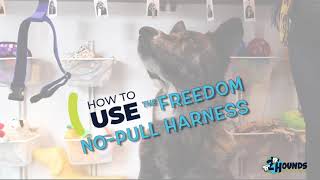 Freedom Harness  Adjustment and Fitting Instructions [upl. by Sands]