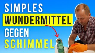 2 handelsübliche Zutaten zur effektiven Schimmelbekämpfung kaum bekanntes Hausmittel [upl. by Neerol]