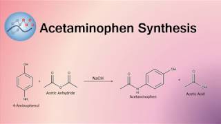 Acetaminophen Synthesis Mechanism  Organic Chemistry [upl. by Nalid]