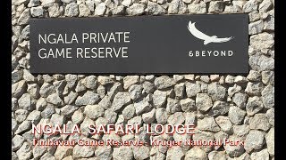 NGALA SAFARI LODGE  Impressions WILDLIFE amp LODGE  Timbavati Reserve  Kruger National Park [upl. by Ahsenom]