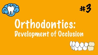 Orthodontics  Development of Occlusion  INBDE ADAT [upl. by Ebag]