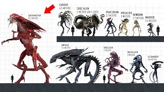 XENOMORPH Size Comparison [upl. by Enawyd806]