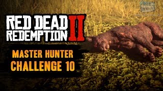 Red Dead Redemption 2 Master Hunter Challenge 10 Guide  Kill the legendary panther “Giaguaro” [upl. by Hermie5]