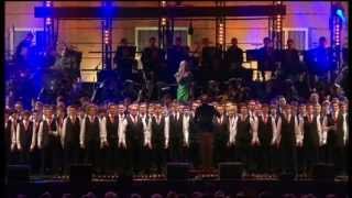 Only Boys Aloud  Performance at Buckingham Palace 2013 [upl. by Coonan]