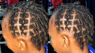 Jinsi y Ku TWIST Nywele fupi How to twist short hair  UTUNZAJI WA NATURAL HAIR [upl. by Orfurd495]