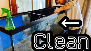 Clean Old Aquarium Glass  Mineral Buildup amp Stains [upl. by Jempty]