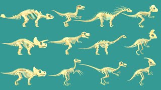 12 Dinosaur bones Trex Triceratops Stegosaurus amp Ankylosaurus Spinosaurus Velociraptor  DK [upl. by Yleoj]