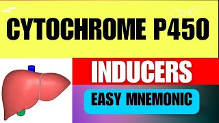 Cytochrome P450 Inducers Easy Mnemonic Mechanism and Simple Explanation [upl. by Nnahtebazile]