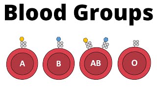 ABO Blood Group System AB0 Blood types amp compatibility explained [upl. by Aima]