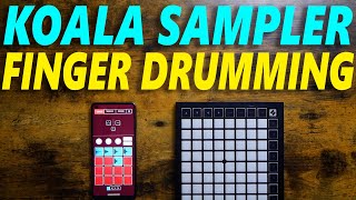 Koala Sampler Finger Drumming [upl. by Martita19]