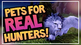 RAREST Obtainable Hunter Pets  Unique Pet Guide Ep 2  World of Warcraft BFA amp Shadowlands [upl. by Ykcim]