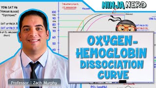 Respiratory  OxygenHemoglobin Dissociation Curve [upl. by Platto]