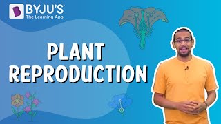 Plant Reproduction  Class 5 I Learn with BYJUS [upl. by Chavey]