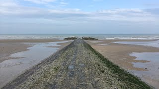 Live  Koksijde North Sea Belgium [upl. by Piderit970]