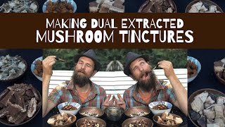 Making Dual Extracted Mushroom Tinctures [upl. by Iain]