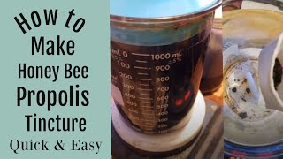 How to Make a Bee Propolis Tincture Quick and Easy [upl. by Krum]