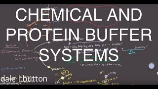 Chemical and Protein Buffers [upl. by Efi]