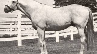 25 Greatest American Race Horses [upl. by Nosahc459]