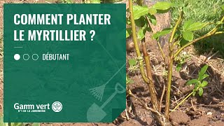 TUTO Comment planter le myrtillier   Jardinerie Gamm vert [upl. by Nedah]